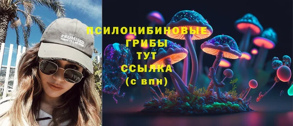 дмт Балахна