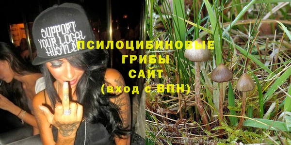 эйфоретик Баксан