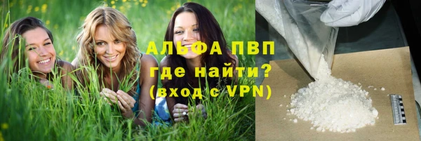 эйфоретик Баксан
