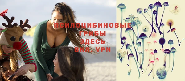 эйфоретик Баксан